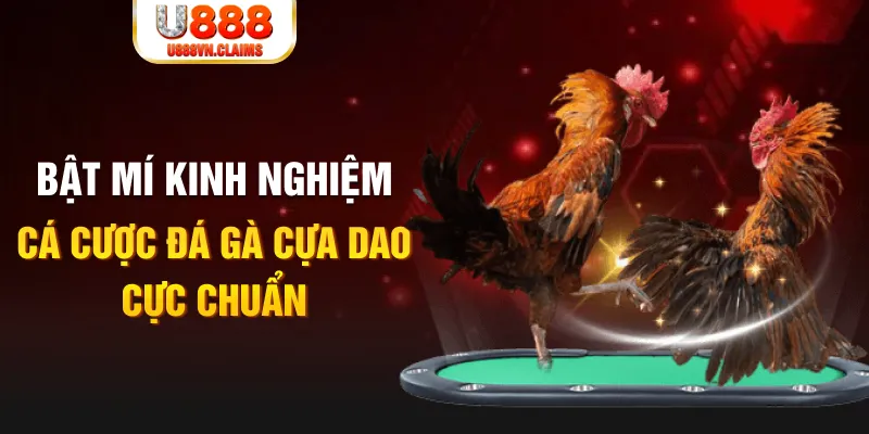 789 club casino hồ tràm có cho người việt vào không