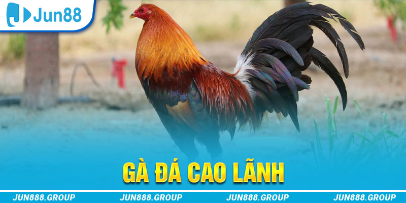789 club tai game vua bai ve may tinh