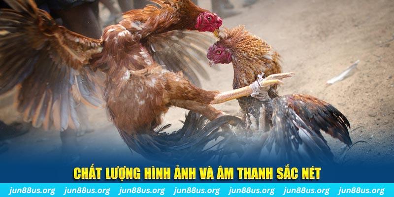 789 club gà chọi tiêu phong
