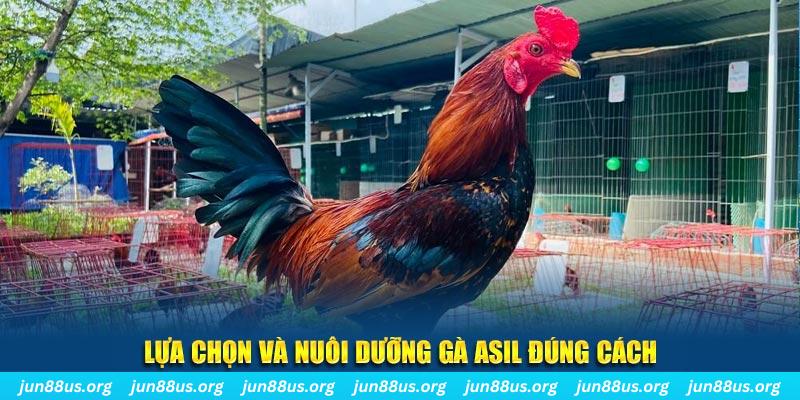 789 club nổ hũ thần tài là gì