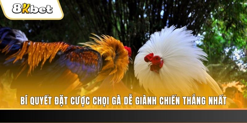 789 club nổ hũ chơi như thế nào