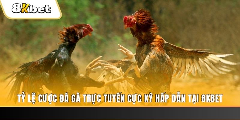 789 club xổ số miền bắc chủ nhật