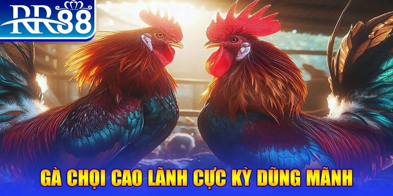 789 club đăng nhập poker live